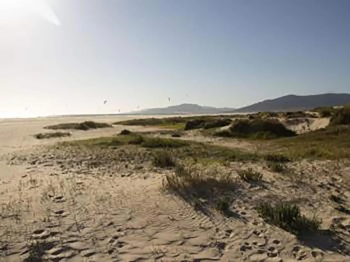 Ferienwohnung Lightbooking Los Silos Tarifa